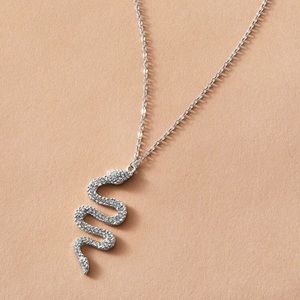 Beautiful silver snake necklace